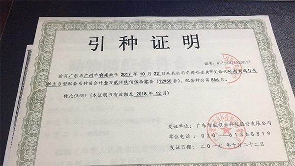 榮譽(yù)證書(shū)
