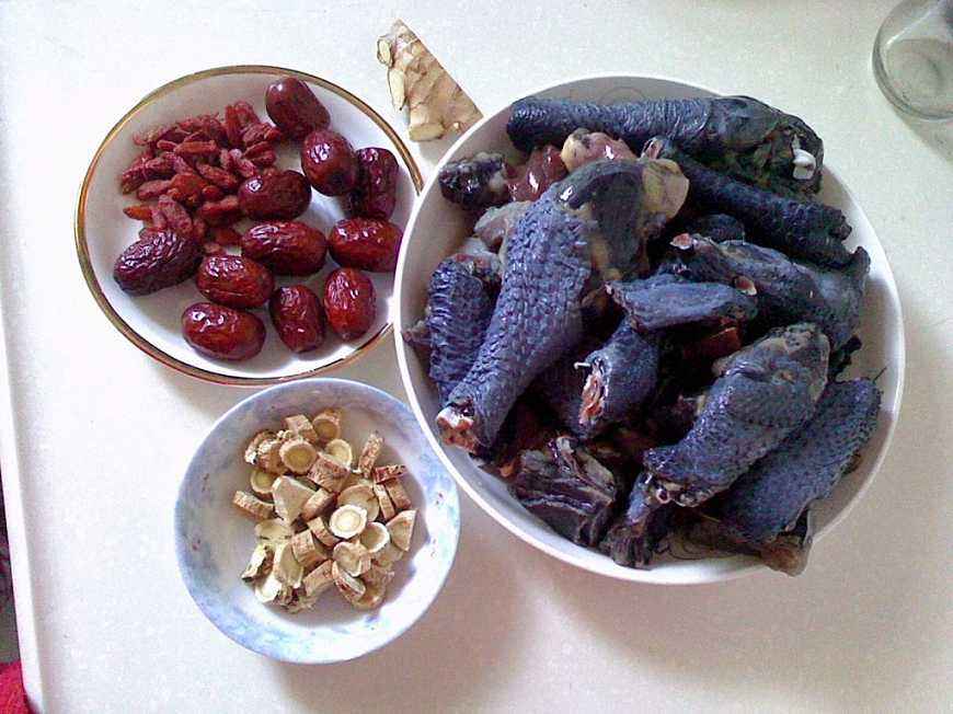 網(wǎng)床養(yǎng)雞是不是可以減少疾病傳播