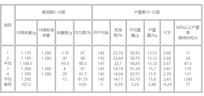 蛋雞飼養(yǎng)中的經(jīng)營新觀念